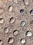 Background of granulated sand with an aerial view of separate pebbles of different shapes and ocher and gray colors. Backgrounds
