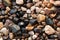background of gravel stones of different colors with autumn leaves