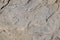 Background of gray rough stone