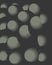 Background.Gray and white volumetric balloons. Gray visually volumetric balls.
