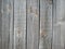 Background of gray wooden boards with the texture of knots and wood fibers