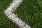 Background of green artificial grass. Marked white lines on the sports field