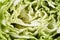 Background of green middle of cut napa cabbage, close up