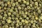 Background of green peppercorns