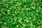 Background of Green Popcorn