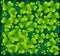 Background from green trefoil