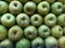 Background of groups of green apples at markets