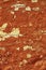 Background of grunge red brick wall texture