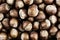 Background hazelnut brown closeup pattern unpeeled shabby much harvest