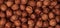 Background from Hazelnut nuts Corylus avellana