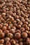 Background hazelnuts. Hazelnut composition and backgorund. Turkish hazelnuts.