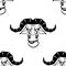 Background head bizon