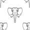 Background head elefant