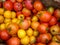 Background homemade red and yellow tomatoes. rain