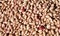 background of hundreds dried beans for sale