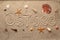 Background image Beach with shells and starfish