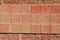 Background image of brick wall in the color of warm coral