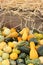 Background image of bright and colorful gourds and squash on bed of hay at local farmers market