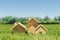A background image of a close-up shot of three small wooden house models on grass, 3d