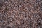 Background image Coffee beans full pole frame