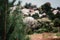 Background image forest with needles and washed houses