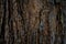 Background image of macro photo of bark with mold