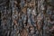 Background image of macro photo of bark with mold