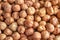 Background image of a pile of hazelnuts