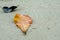 Background image of single fallen old leaf on sandy beach