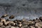 Background image of small boulders and frozen lake