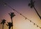 Background Image of String Lights In Front of Palm Trees at Suns