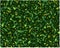 Background image volumetric camouflage, green shades of nature.