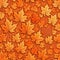 Background image, yellow maple leaves, texture.