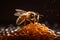 background insect closeup nectar bee macro honey gold yellow nature pollen. Generative AI.