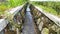 The background of the irrigation canal on the edge of the rice fields