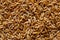 Background of kamut wheat kernels.