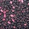 Background from kidney beans
