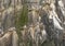 Background of Kittiwakes on a cliff face