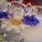 Background of  knapweed,  chamomile flower    in ice   cube with air bubbles