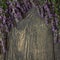 The background for label. Twigs of fragrant fresh lavender on dark boards