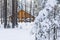 Background landscape, beautiful big wooden house in the midst of a snow-covered pine forest