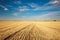 Background landscape of farm field harvested wheat on blue sky