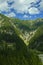 Background landscape view of the snowy peaks of the Alps and the Coniferous forest In the Tyrol