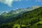 Background landscape view of the snowy peaks of the Alps and the Coniferous forest In the Tyrol