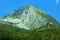 Background landscape view of the snowy peaks of the Alps and the Coniferous forest In the Tyrol