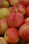 Background of large red-yellow apples. A lot of juicy, ripe, bicolored apples