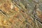 Background of a layered metamorphic rock