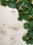 Background of leaves and fruit of the strawberry on the wood