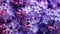 Background with lilac flowers close-up. Macro shooting. Generative AI.