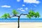 Background of lonely seaside tree on a sunny day. global warming. travelling concept. vacation concept